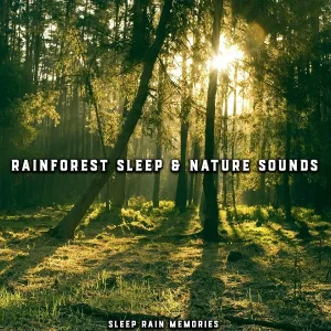 Sleep Rain Memories - Steady Rainfall