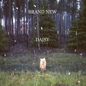 Brand New - Noro