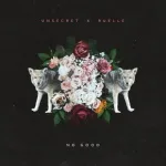 UNSECRET feat. Ruelle - No Good