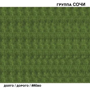 Группа СОЧИ - Лисички