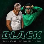 Zvika Brand, INtellegent, GELIK - Black