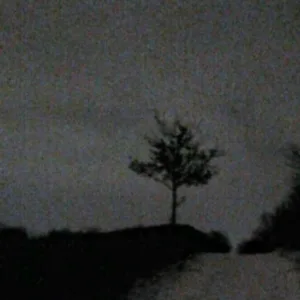 dayerteq - Венерический букетик (Old version)