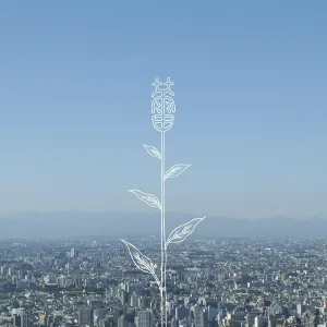 KOBUKURO - Kanatae