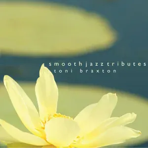Toni Braxton Smooth Jazz Tribute - How Could An Angel Break My Heart