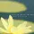 Toni Braxton Smooth Jazz Tribute - How Could An Angel Break My Heart