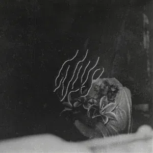WLVS - Ответ