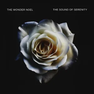 The Wonder Noel - Missing