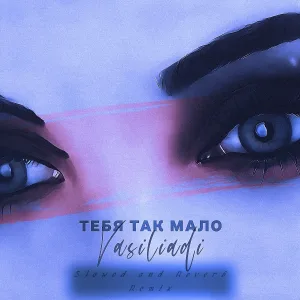 vasiliadi - Тебя так мало (Slowed and Reverb Remix)