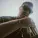 Azot - Rap
