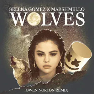 Selena Gomez, Marshmello - Wolves