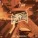 Gramatik - Skylight