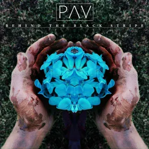 Pav feat. Evgeniy Kolchin - За чёрной полосой