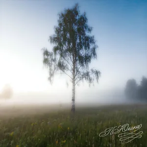Какая Плюшка - Ах, УЕхаЛ