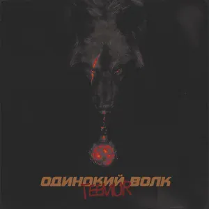 TeeMur - Чародейка