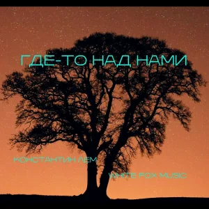Константин ЛЕМ, White Fox Music - Где-то над нами