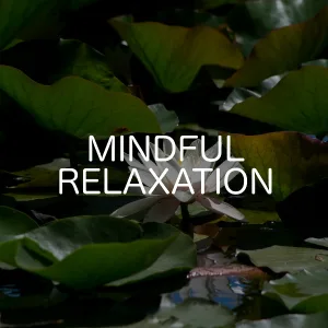 Relaxing Chill Out Music - Return To Rest
