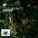 The Royal Philharmonic Orchestra - Appalachian Spring: Ballet Suite: Appalachian Spring: Ballet Suite