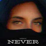 vibessmusic - Never