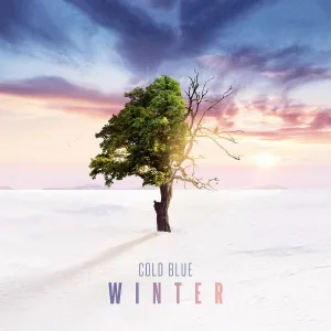 Cold Blue - Reflections