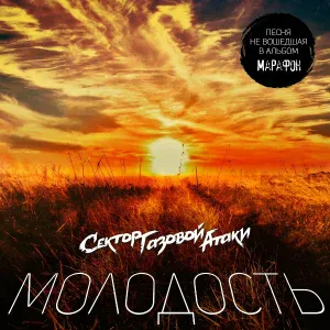 Сектор Газовой Атаки - Молодость