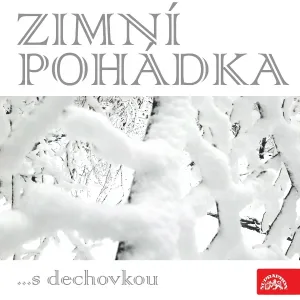 Rudolf Cortés feat. Ivana Seinerová - Zimní nálada