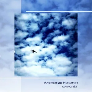 Александр Никитин - Самолет