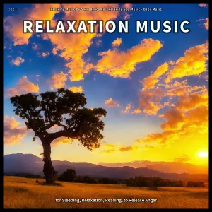 Relaxing Music by Sven Bencomo, Relaxing Spa Music, Baby Music - Nice Perceptions