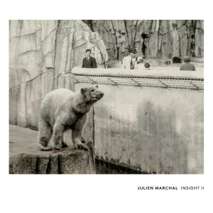 Julien Marchal - Insight XV