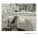Julien Marchal - Insight XIV