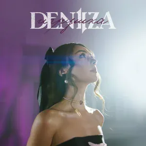 DENIIZA - Игрушка