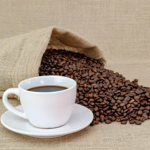 Cocoa Coffee Clan - Back to Back