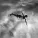 Umar Keyn - Fly to Me