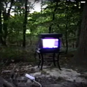 Bones - PleaseHangUpAndTryAgain