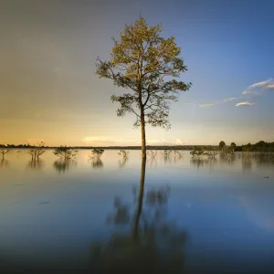 Pro Sound Effects Library, Spa, Spa Brainwave Entrainment - Relaxing Beats