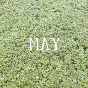 Narcotic Chill - May