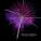 Maxim Zavidia - Viva Magenta