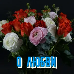 Сергей Грищук - ЛИШЬ ТОЛЬКО ТЫ