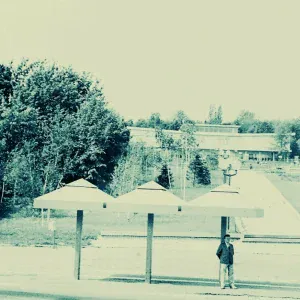 культура курения - Мухи