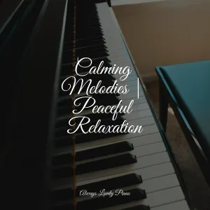 Calming Baby Sleep Music Club, Mozart Lullabies Baby Lullaby, Relaxing Piano Club - Soothing