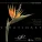 Orchestre philharmonique de Monte-Carlo, Yakov Kreizberg - L'oiseau de feu: No. 12, Ivan Tsarévitch pénètre dans le Palais de Kastchei