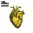 The Kooks - Around Town
