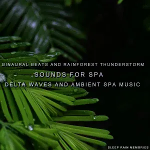Sleep Rain Memories - Binaural Beats Studying Music