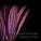Christophe Goze - Passing Time
