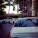 Starly - Kavkaz