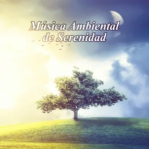 Academia de Música de la Música Ambiente - Música Suave para Meditación