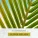 Oliver Nelson - Stolen Moments