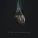 Trivium - Amongst The Shadows & The Stones