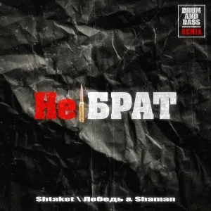 Shtaket feat. Лебедь & Shaman - Не брат (Drum and Bass Remix)