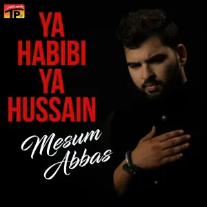 Mesum Abbas - Ghar Lut Gaya
