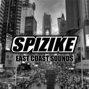 dj spizike - Like a Pimp